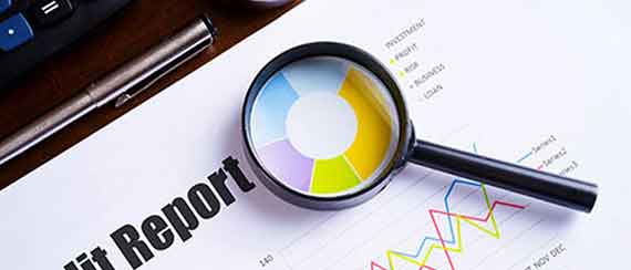 Employment and Tenant Credit Reports